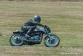 coyotes-2010_1241