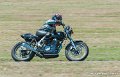 coyotes-2010_1242