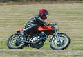 coyotes-2010_1269