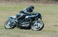 coyotes-2010_1282