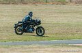 coyotes-2010_1379