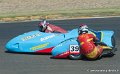 coyotes-2010_0871