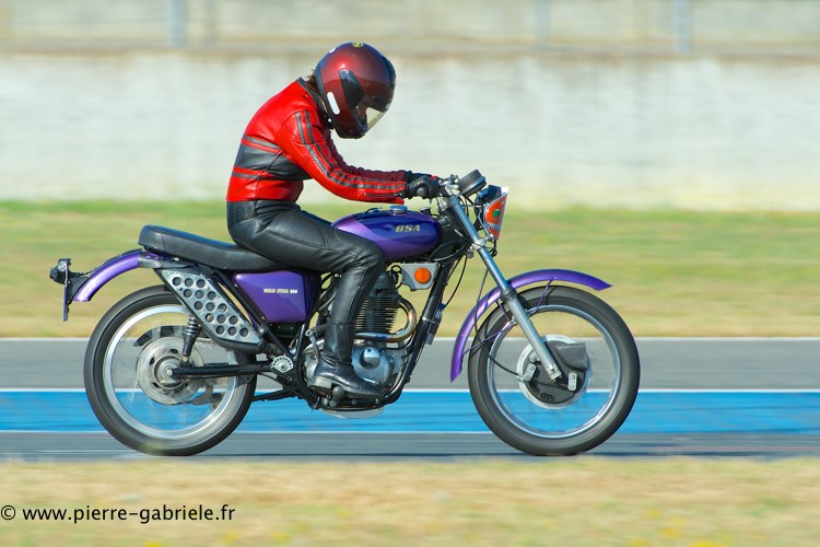 coyotes-2013-dimanche_1975.jpg