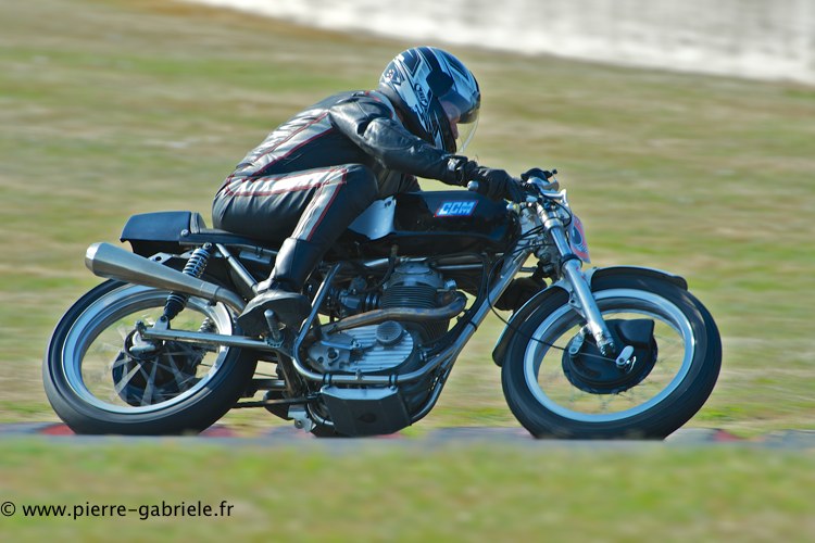 coyotes-2013-dimanche_1984.jpg