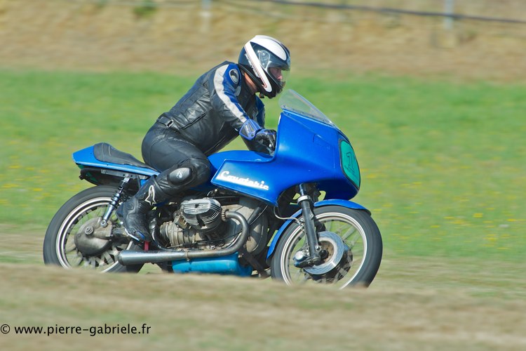 coyotes-2013-dimanche_2005.jpg