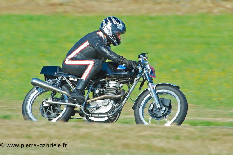coyotes-2013-dimanche_2006.jpg