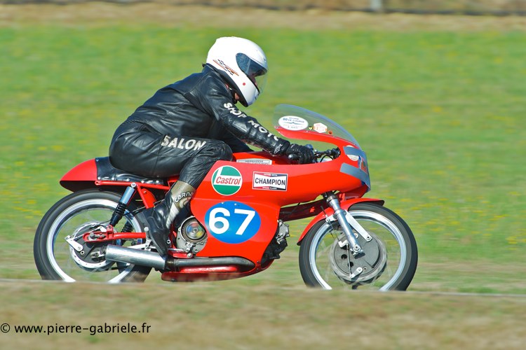 coyotes-2013-dimanche_2008.jpg