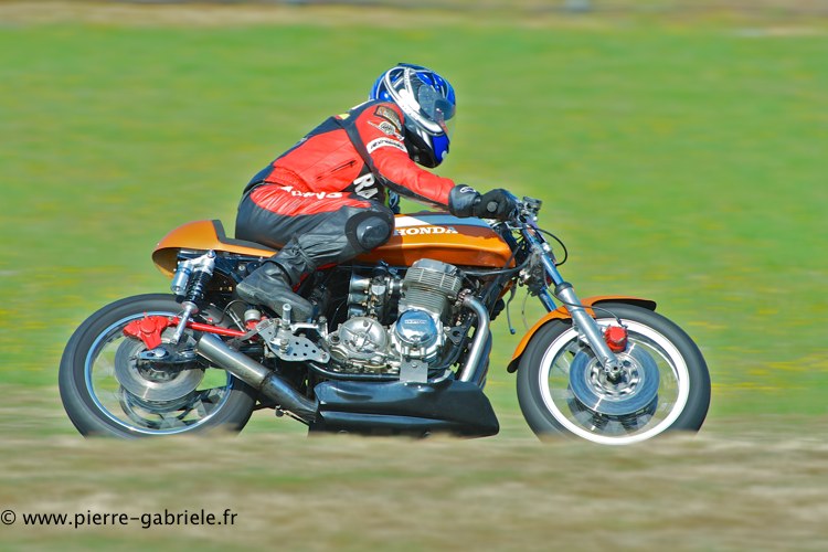 coyotes-2013-dimanche_2020.jpg