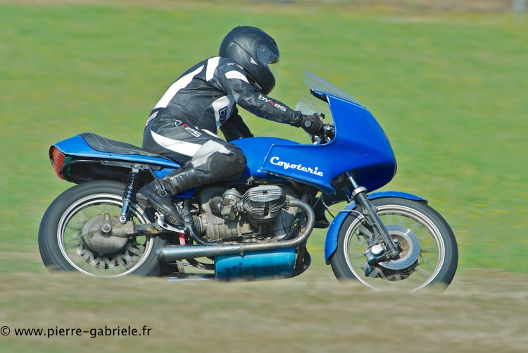 coyotes-2013-dimanche_2027.jpg