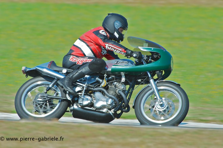 coyotes-2013-dimanche_2030.jpg