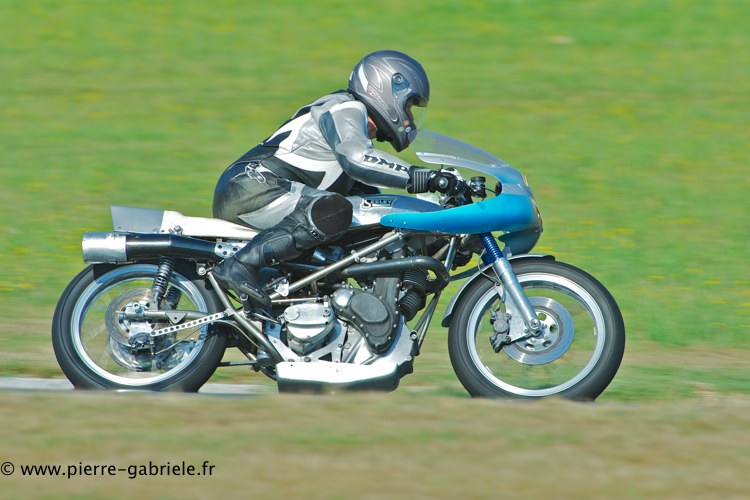 coyotes-2013-dimanche_2032.jpg