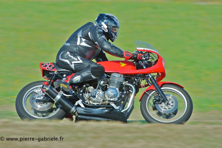 coyotes-2013-dimanche_2039.jpg