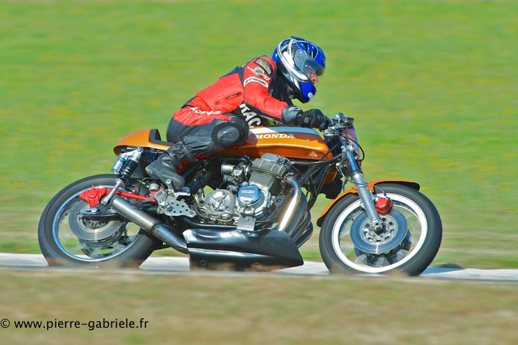 coyotes-2013-dimanche_2041.jpg