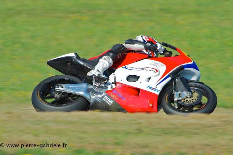 coyotes-2013-dimanche_2095.jpg