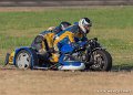 basset-classique-g93_4676