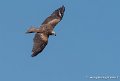 milan-g93_2584