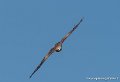 milan-g93_2585