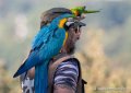 franck-g92_7588