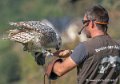 jloup-g92_7554