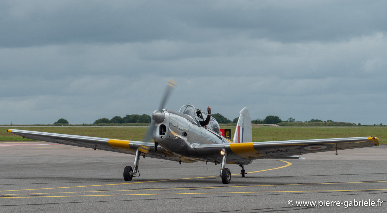 chipmunk-g91_3781.jpg