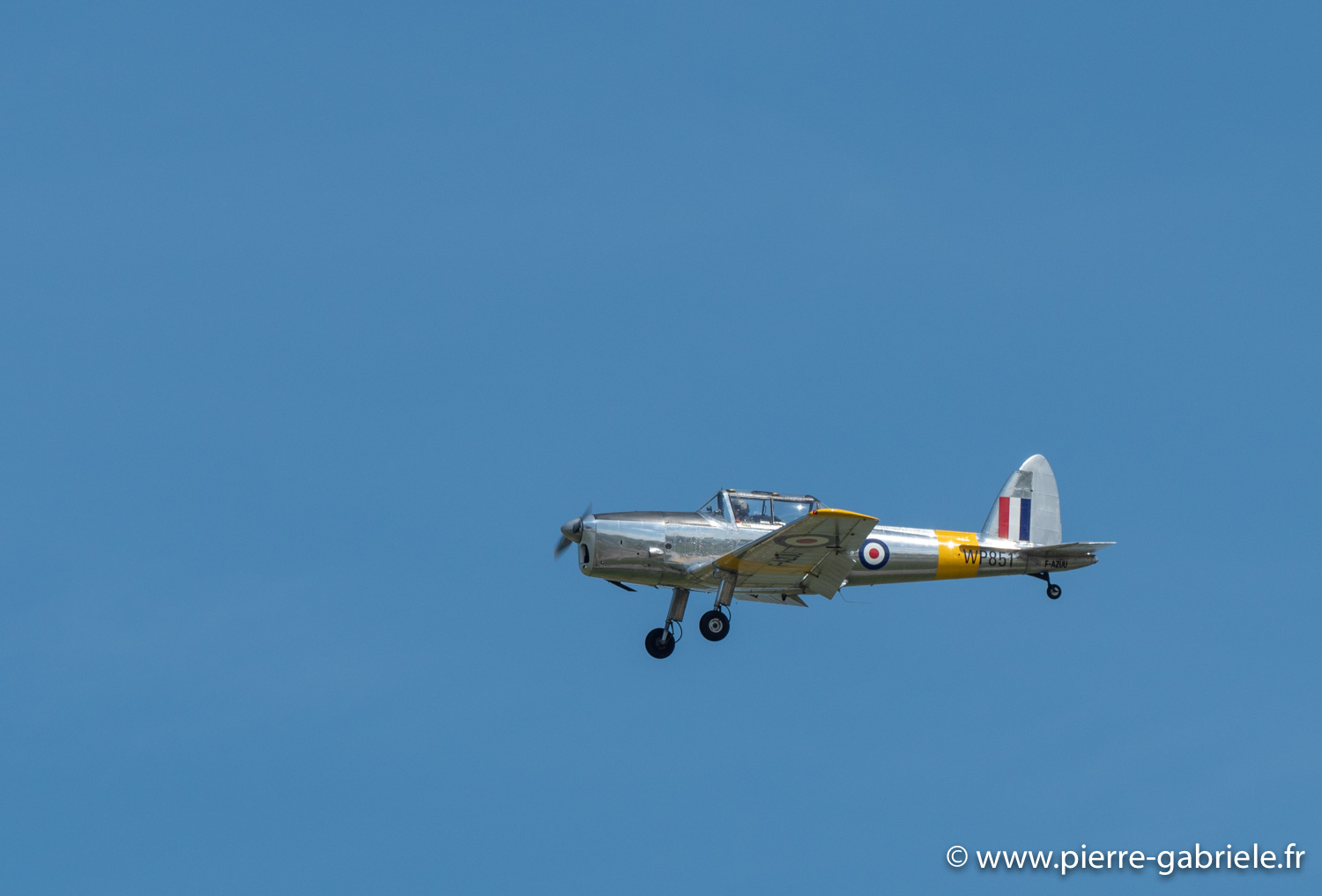 chipmunk-g92_3892.jpg