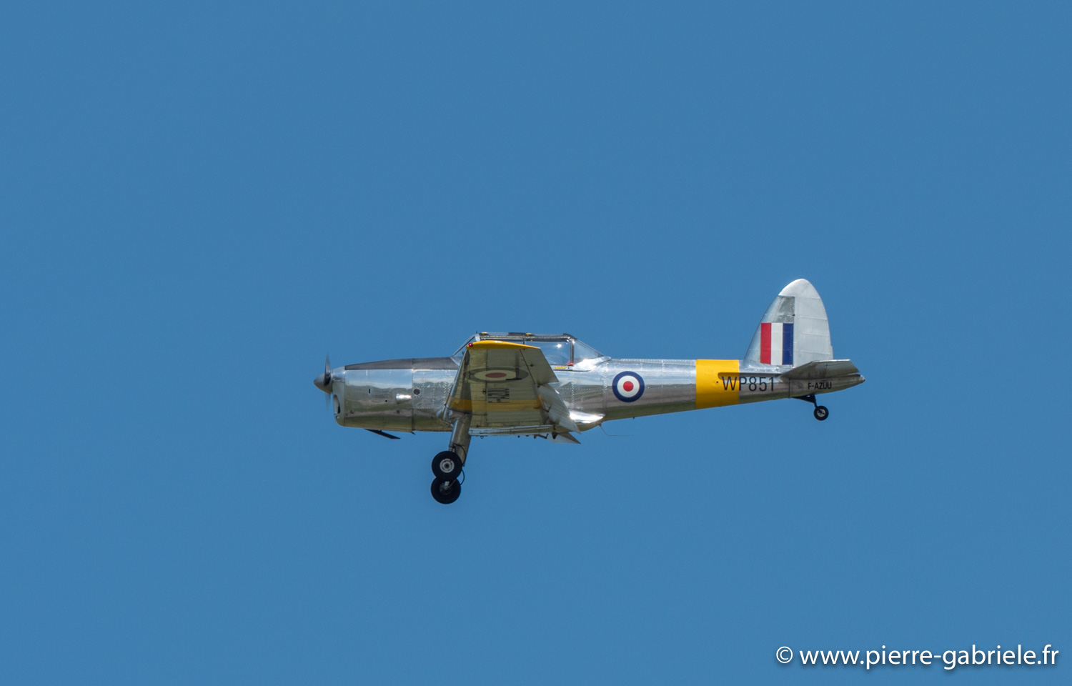 chipmunk-g92_3893.jpg