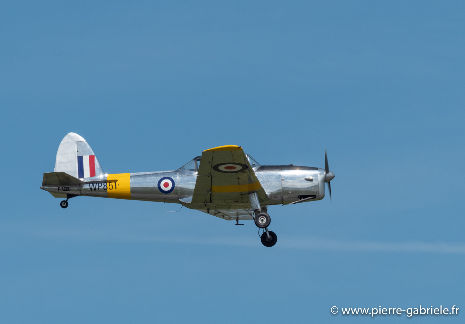 chipmunk-g92_3896.jpg