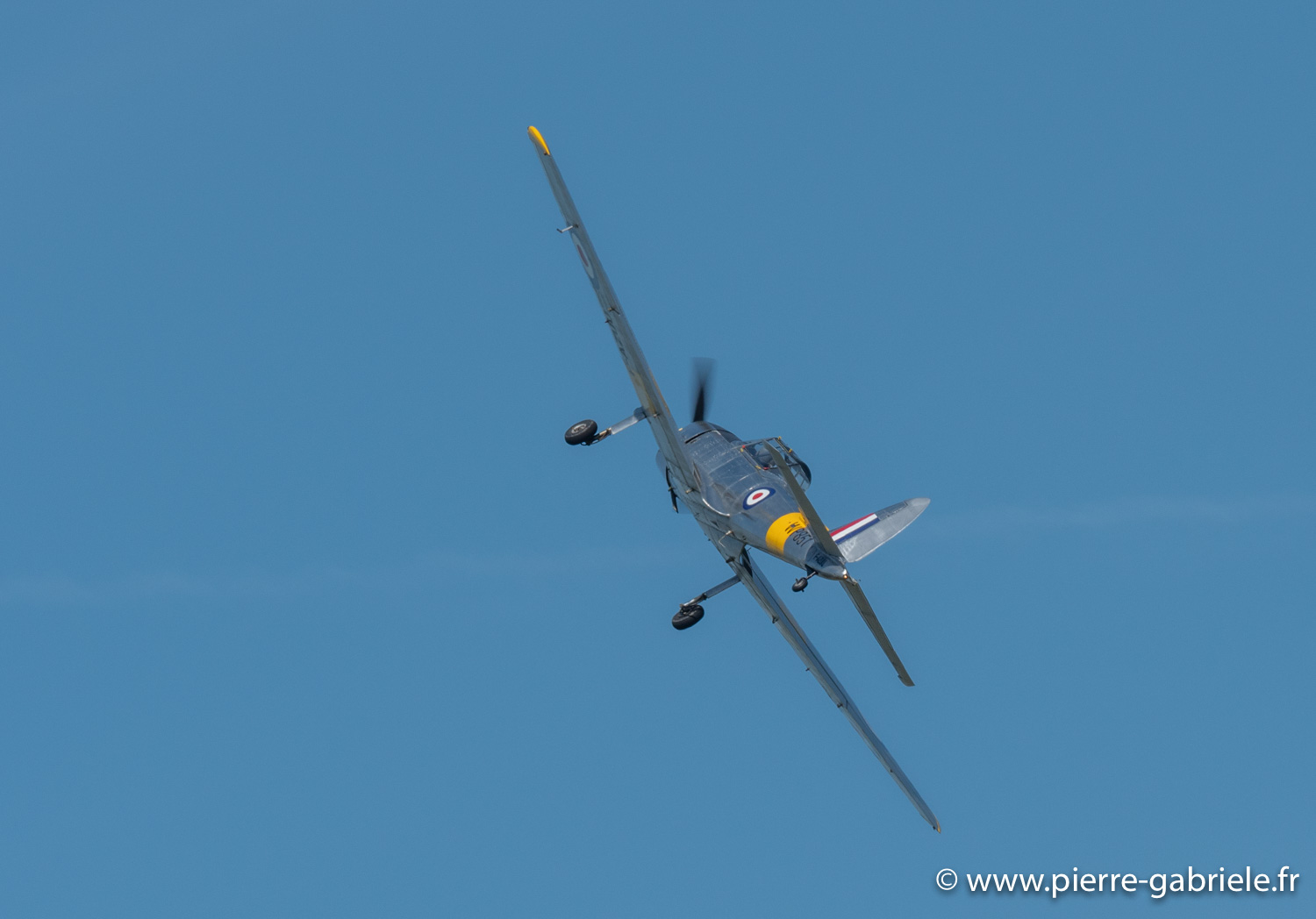 chipmunk-g92_3900.jpg