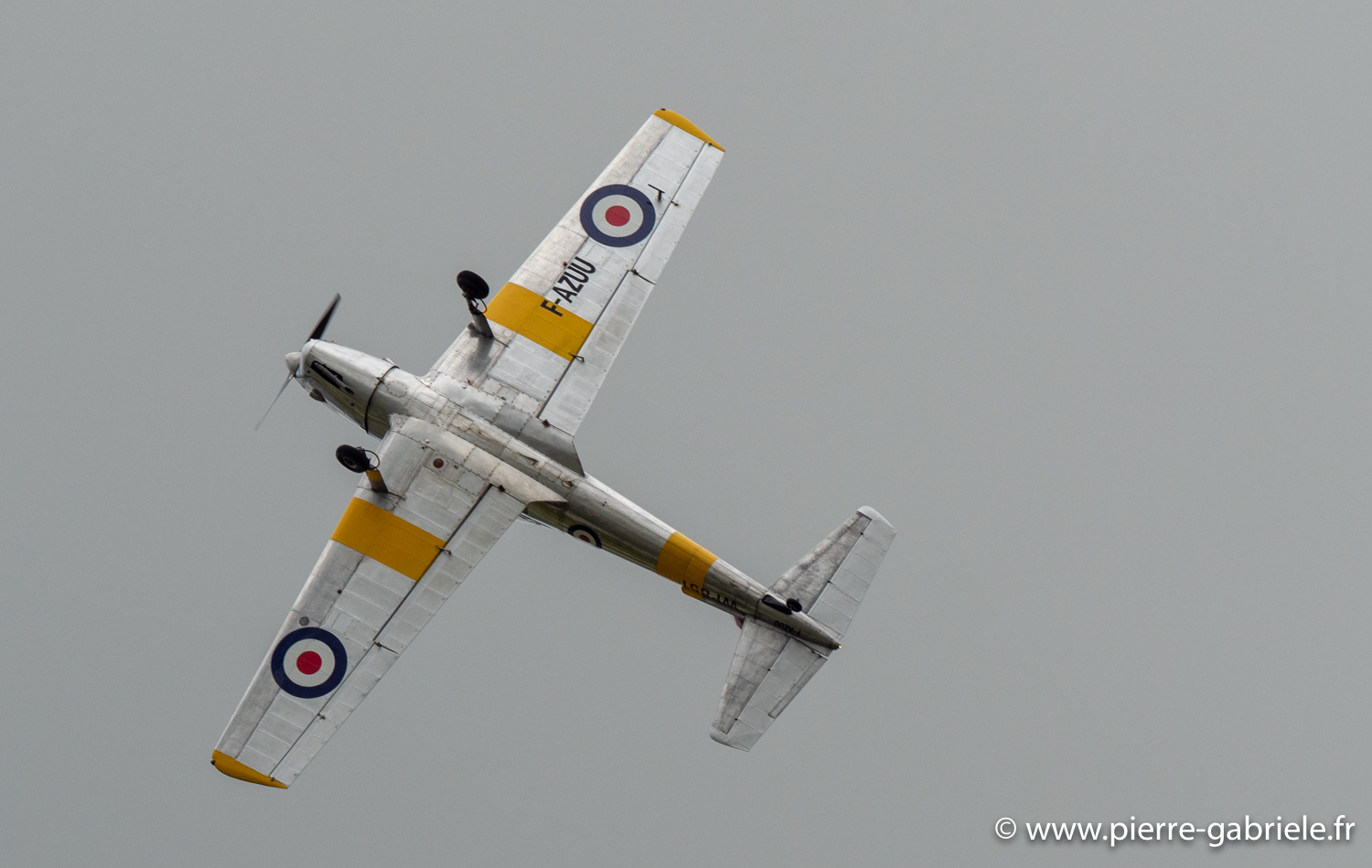 chipmunk-g92_4575.jpg