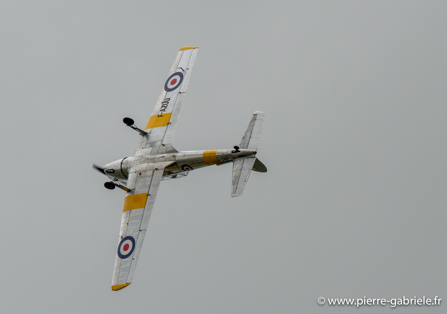 chipmunk-g92_4576.jpg
