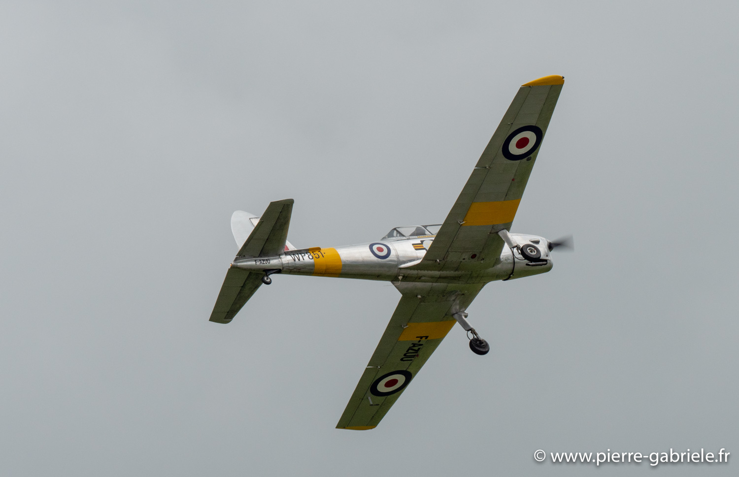 chipmunk-g92_4580.jpg