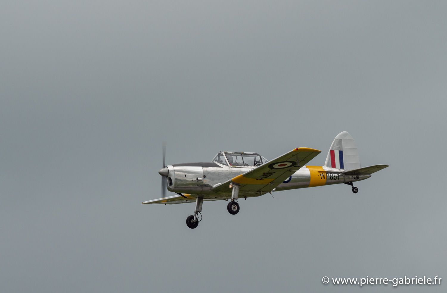 chipmunk-g92_4581.jpg