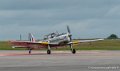 chipmunk-g91_3780