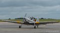 chipmunk-g91_3781