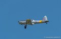chipmunk-g92_3893