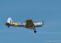 chipmunk-g92_3896