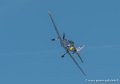 chipmunk-g92_3900