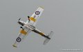 chipmunk-g92_4575