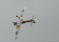 chipmunk-g92_4576