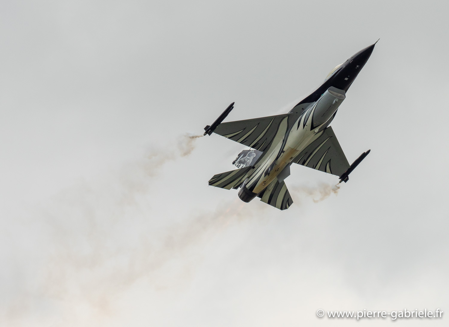 f16-g92_4399.jpg