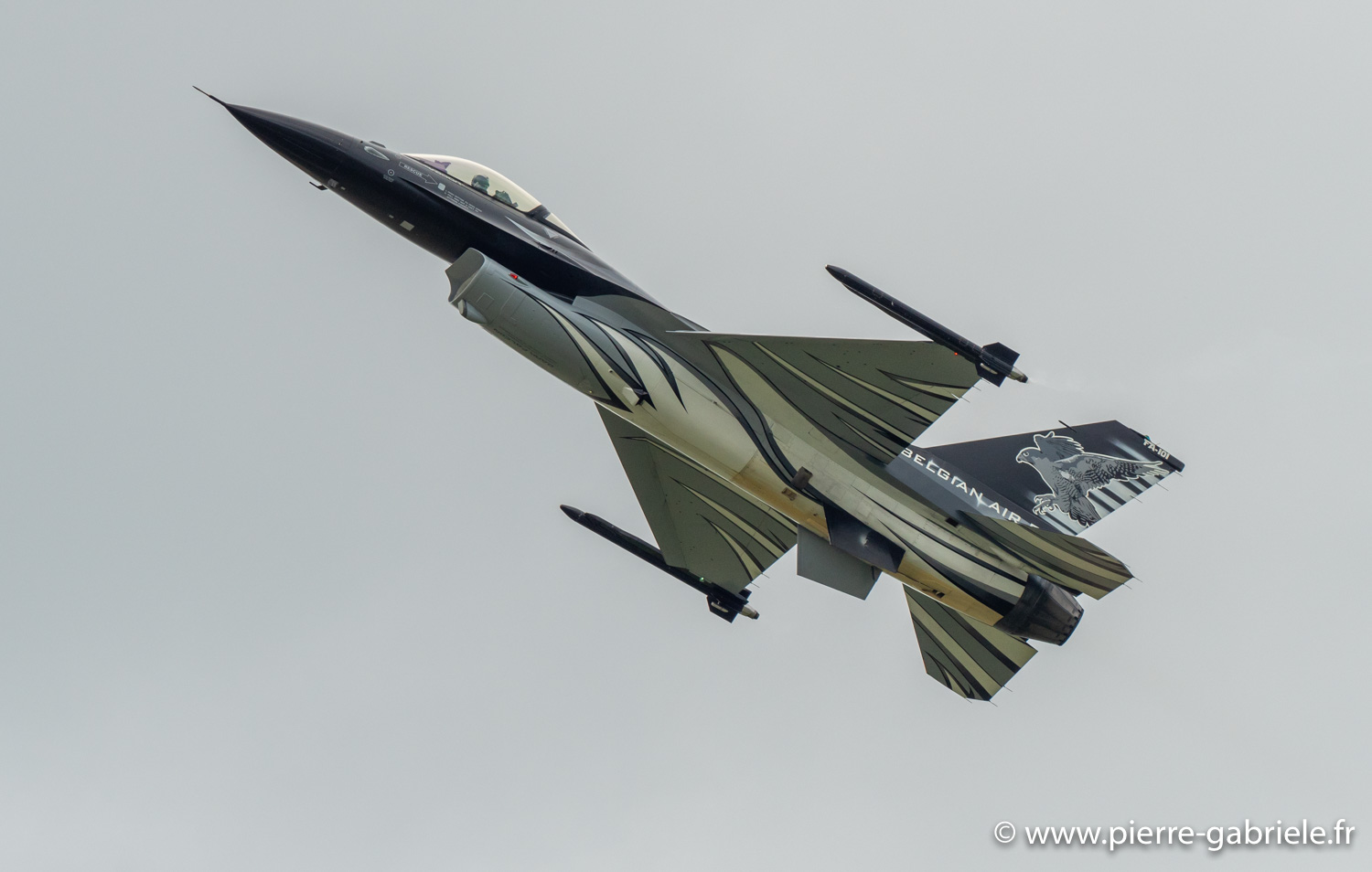 f16-g92_4407.jpg