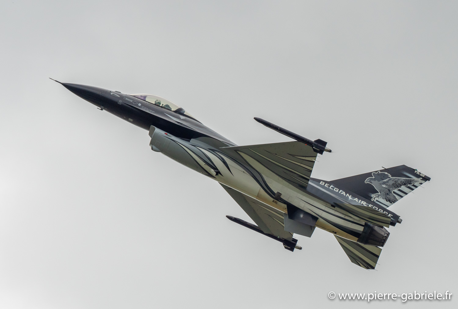 f16-g92_4409.jpg