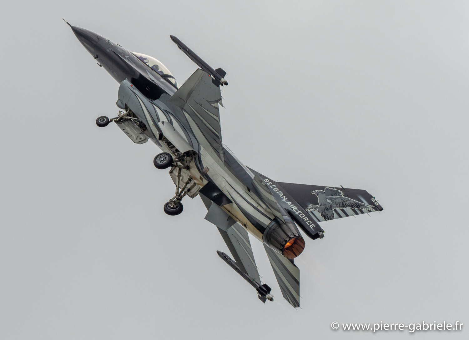 f16-g92_4435.jpg