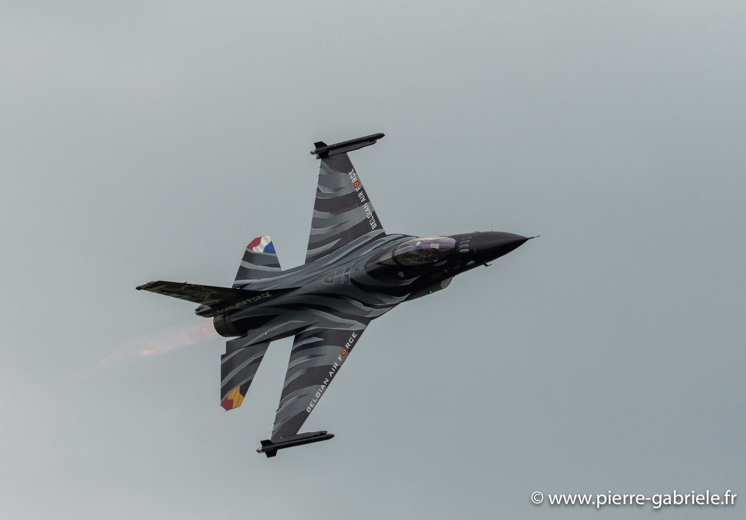 f16-g92_4440.jpg