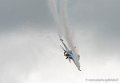 f16-g92_4413