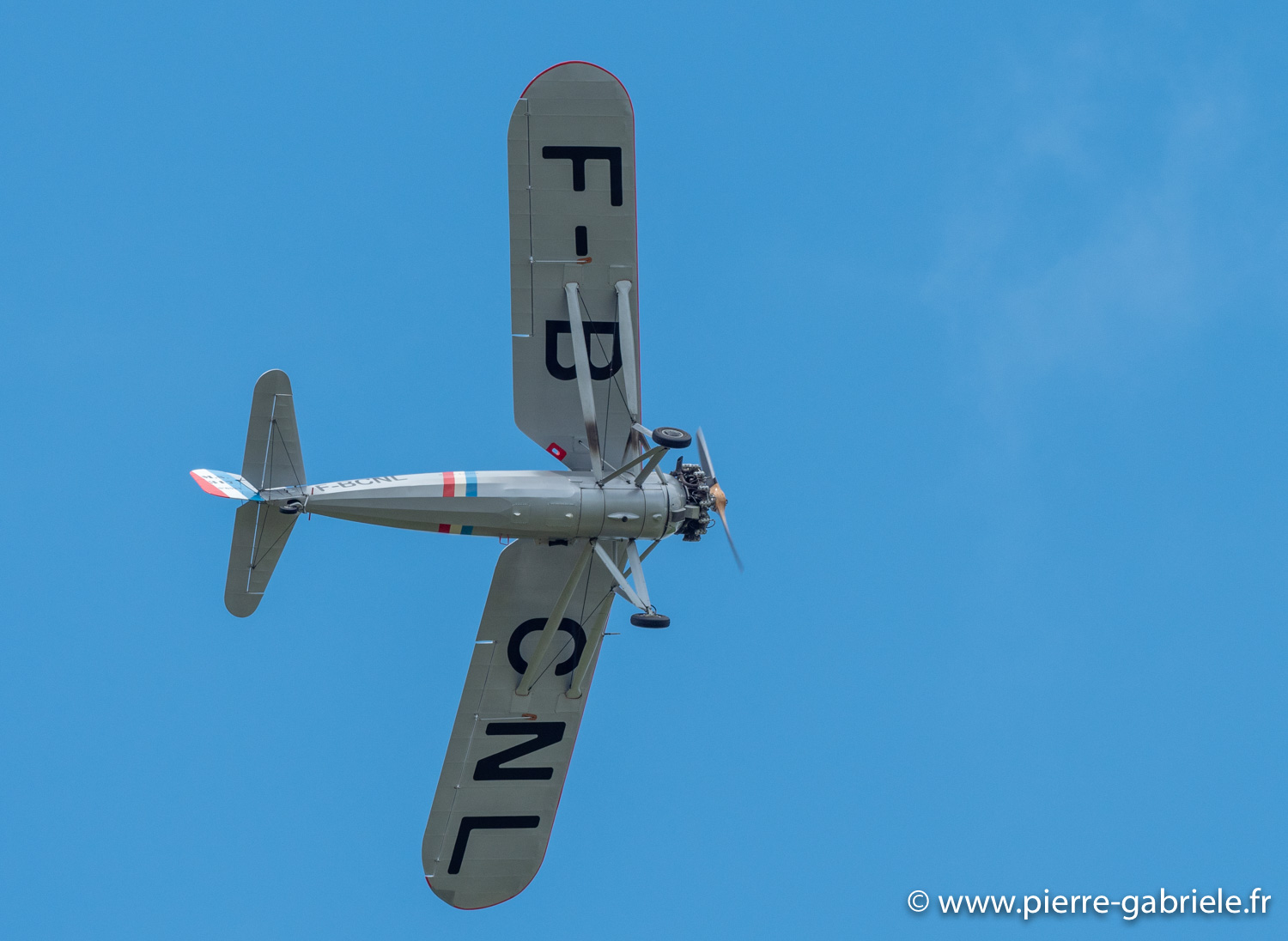 ms317-g92_4219.jpg