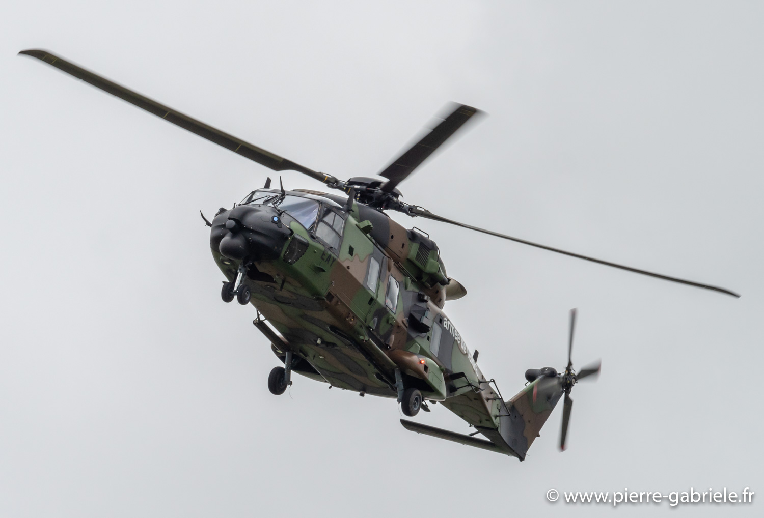 nh90-g92_4563.jpg