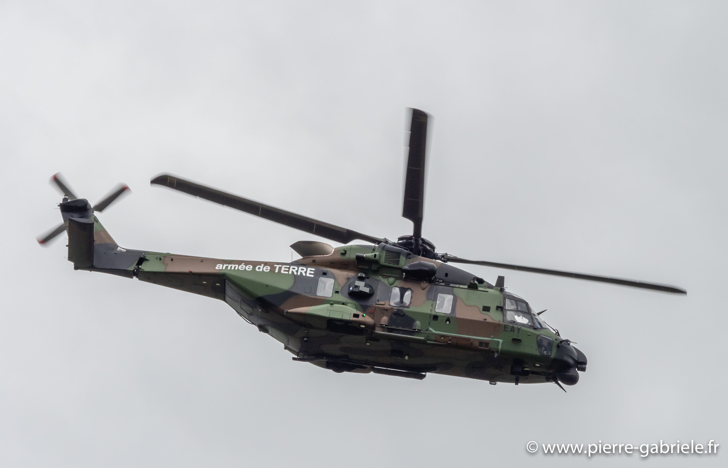 nh90-g92_4564.jpg