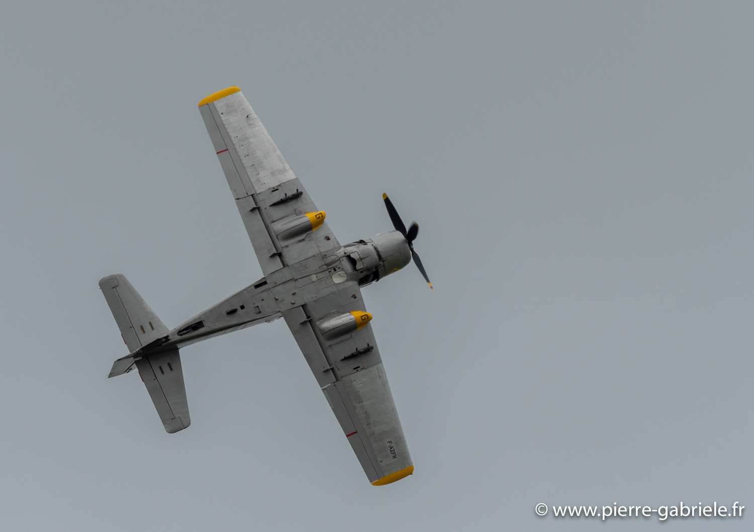 skyraider-g92_4598.jpg