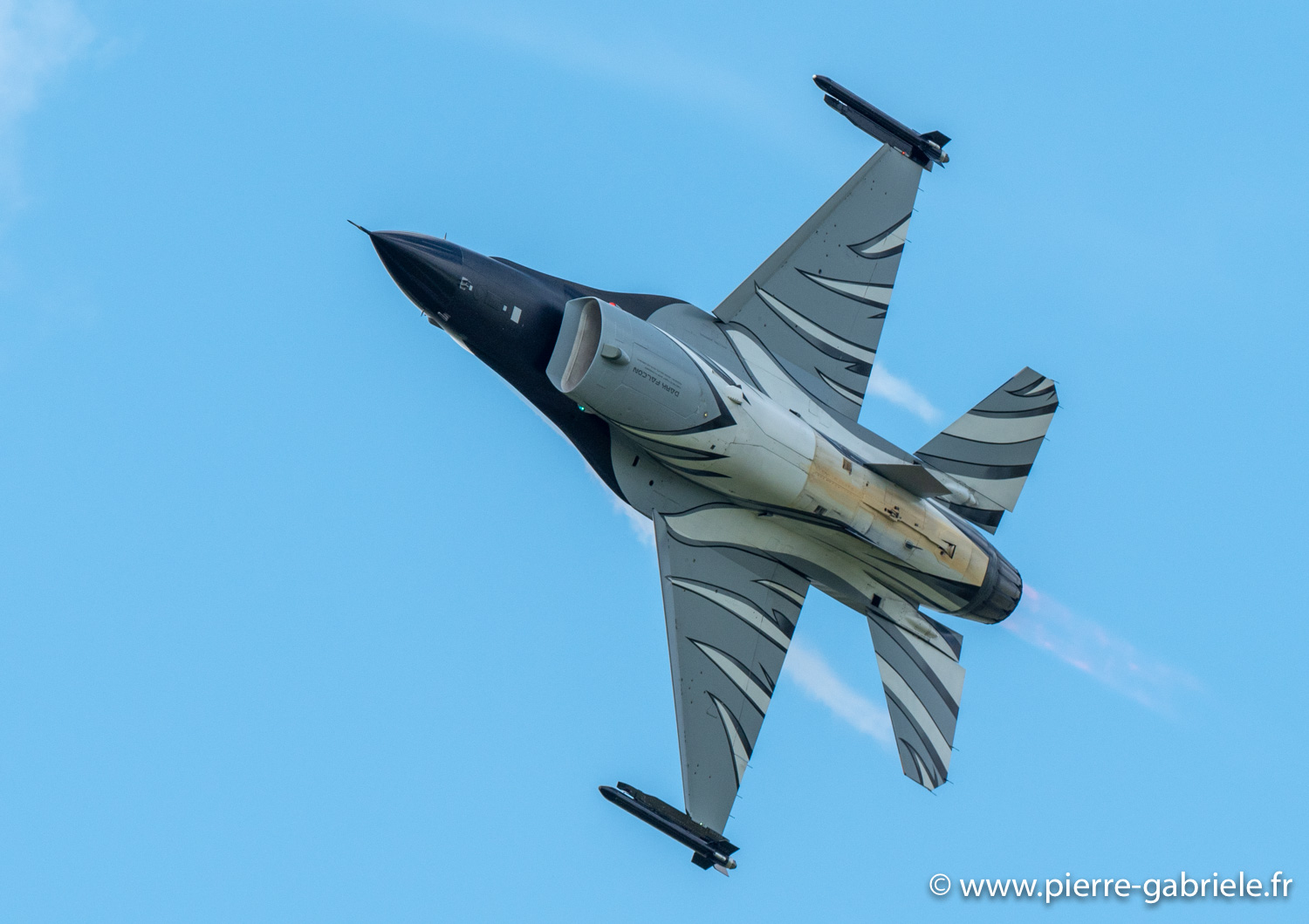 f16-g92_3483.jpg